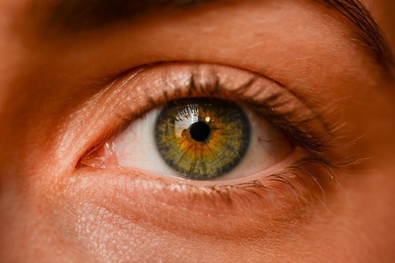 Oczy to ekstrawagancki organ. To właśnie dzięki nim odczuwamy.